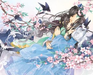 含羞草2023